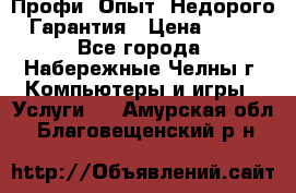 Профи. Опыт. Недорого. Гарантия › Цена ­ 100 - Все города, Набережные Челны г. Компьютеры и игры » Услуги   . Амурская обл.,Благовещенский р-н